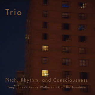 TONY JONES - Tony Jones, Kenny Wollesen, Charles Burnham Trio : Pitch, Rhythm, And Consciousness cover 