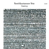 TORD GUSTAVSEN - Seeing cover 