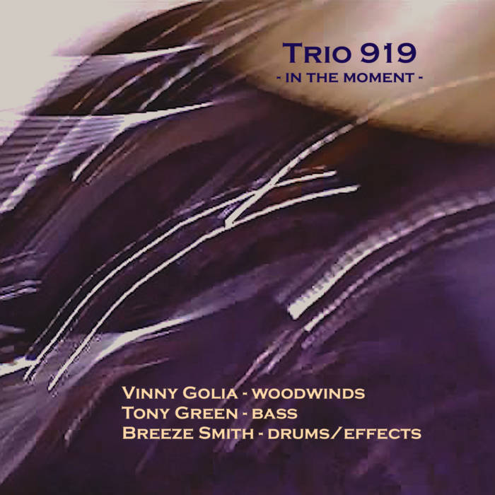 TRIO 919 - In The Moment cover 