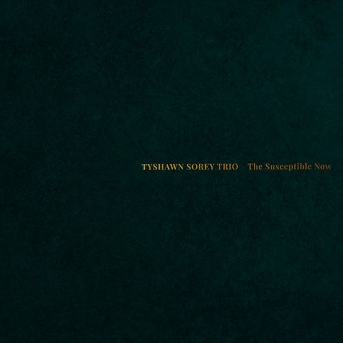 TYSHAWN SOREY - The Susceptible Now cover 