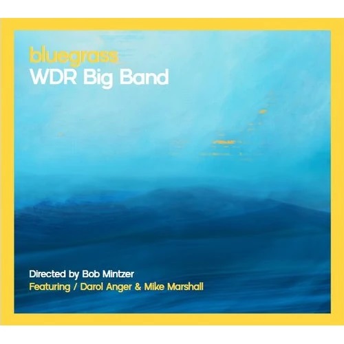 WDR BIG BAND - Bluegrass cover 