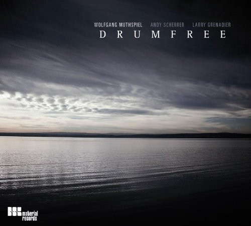 WOLFGANG MUTHSPIEL - Wolfgang Muthspiel, Andy Scherrer, Larry Grenadier : Drumfree cover 