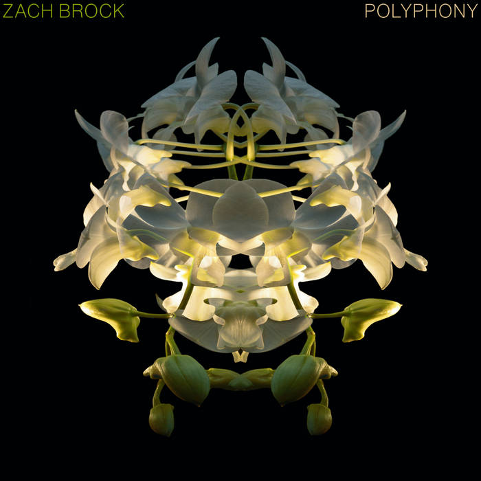 ZACH BROCK - Polyphony cover 